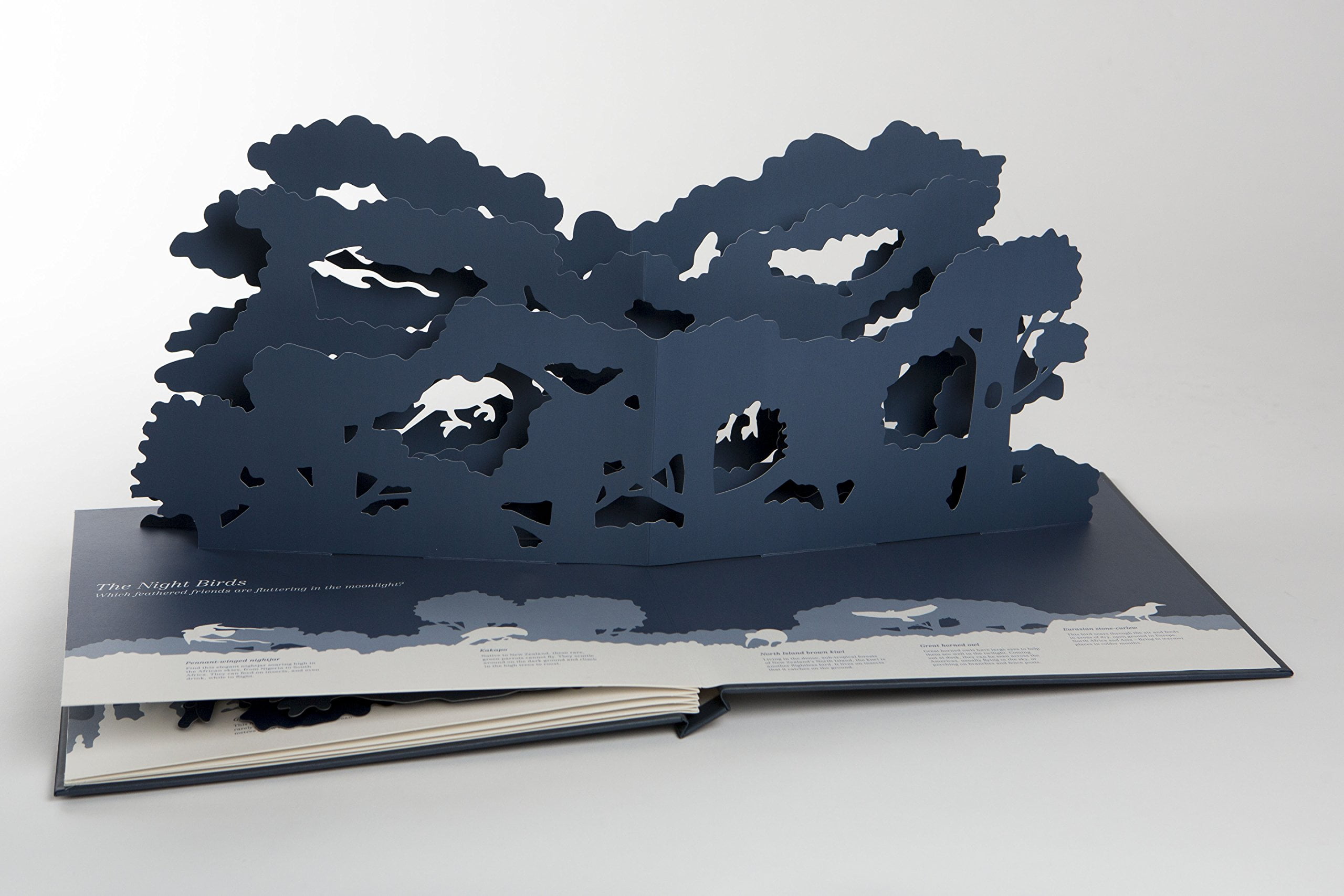 midnight creatures midnight creatures