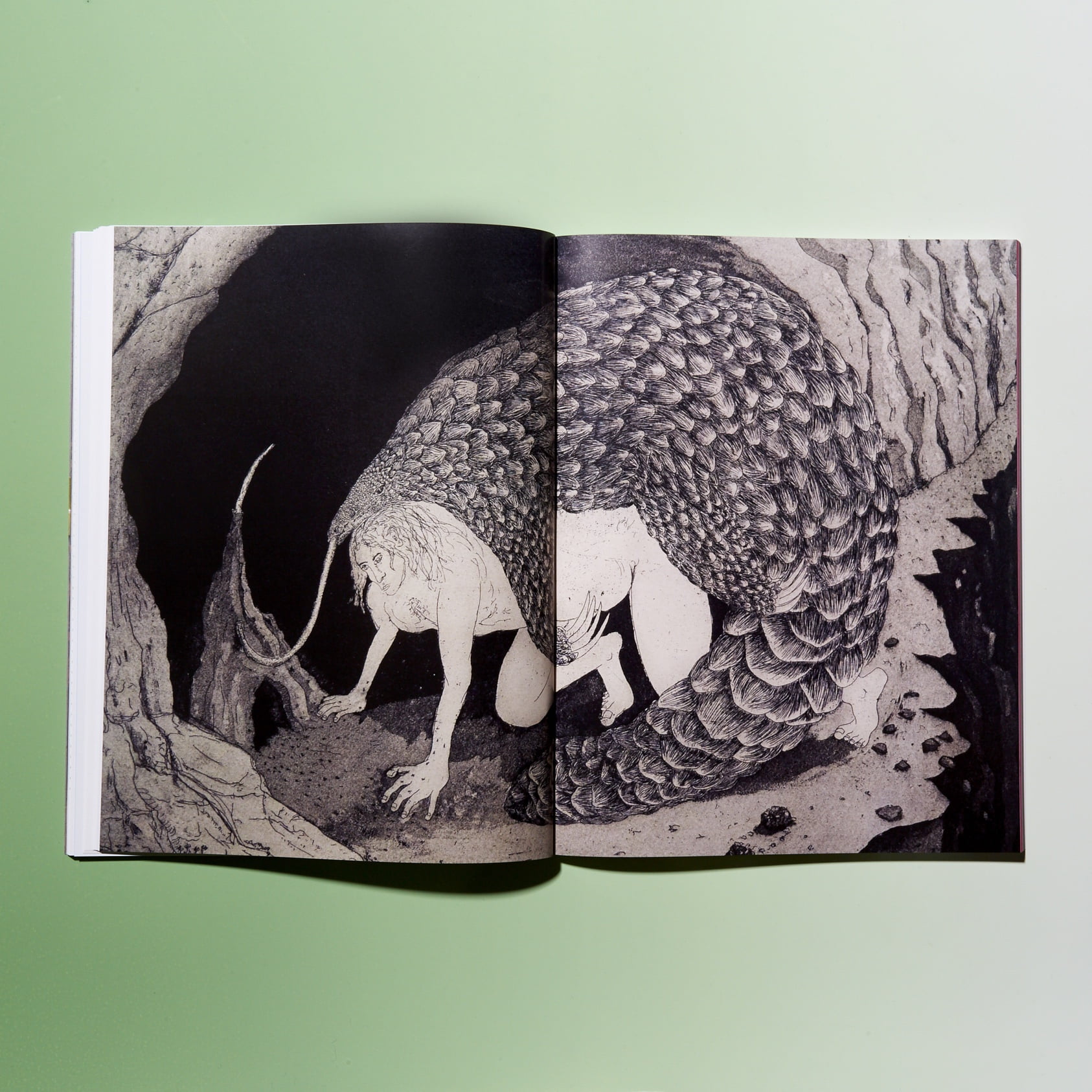 elephant 34 elephant 34