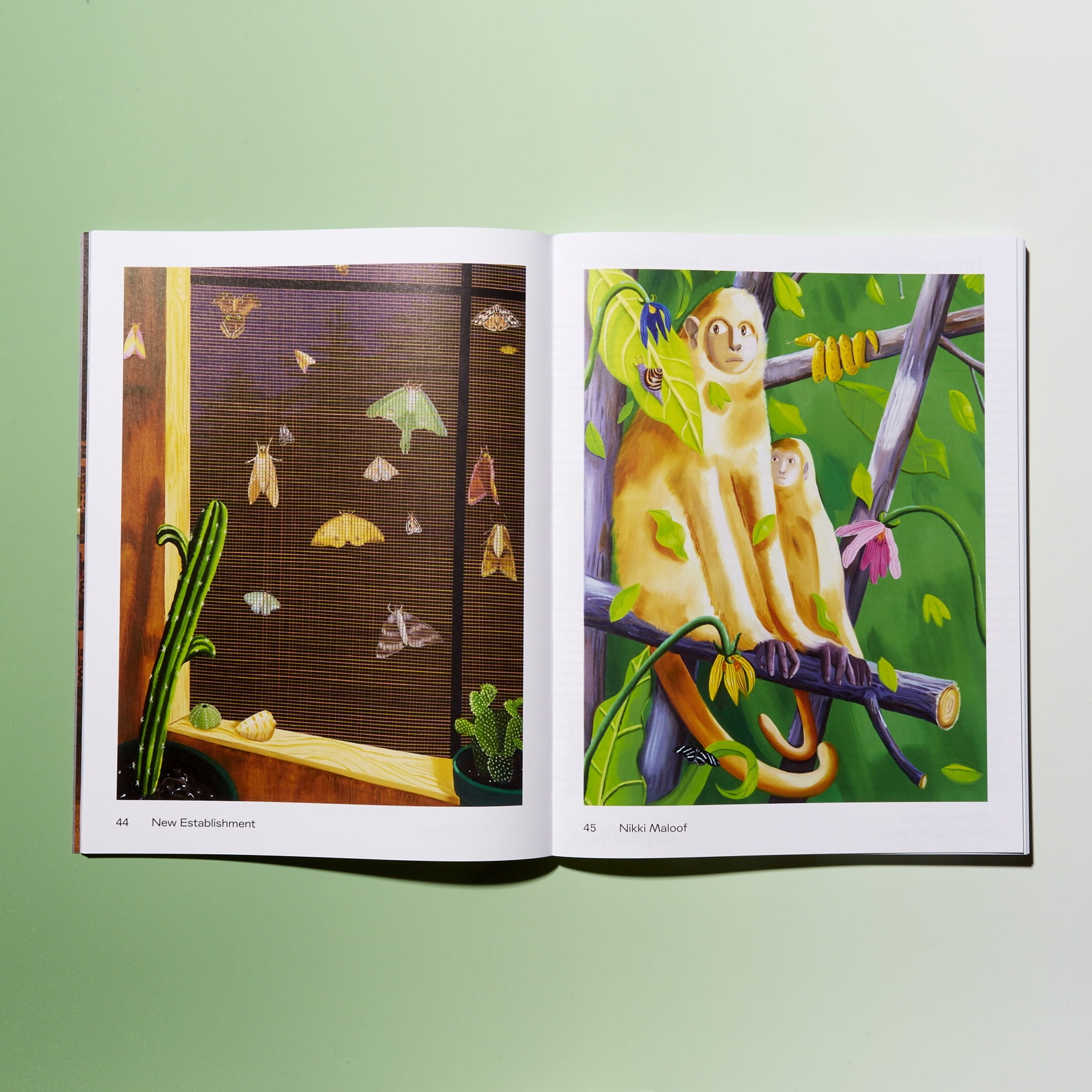 elephant 34 elephant 34