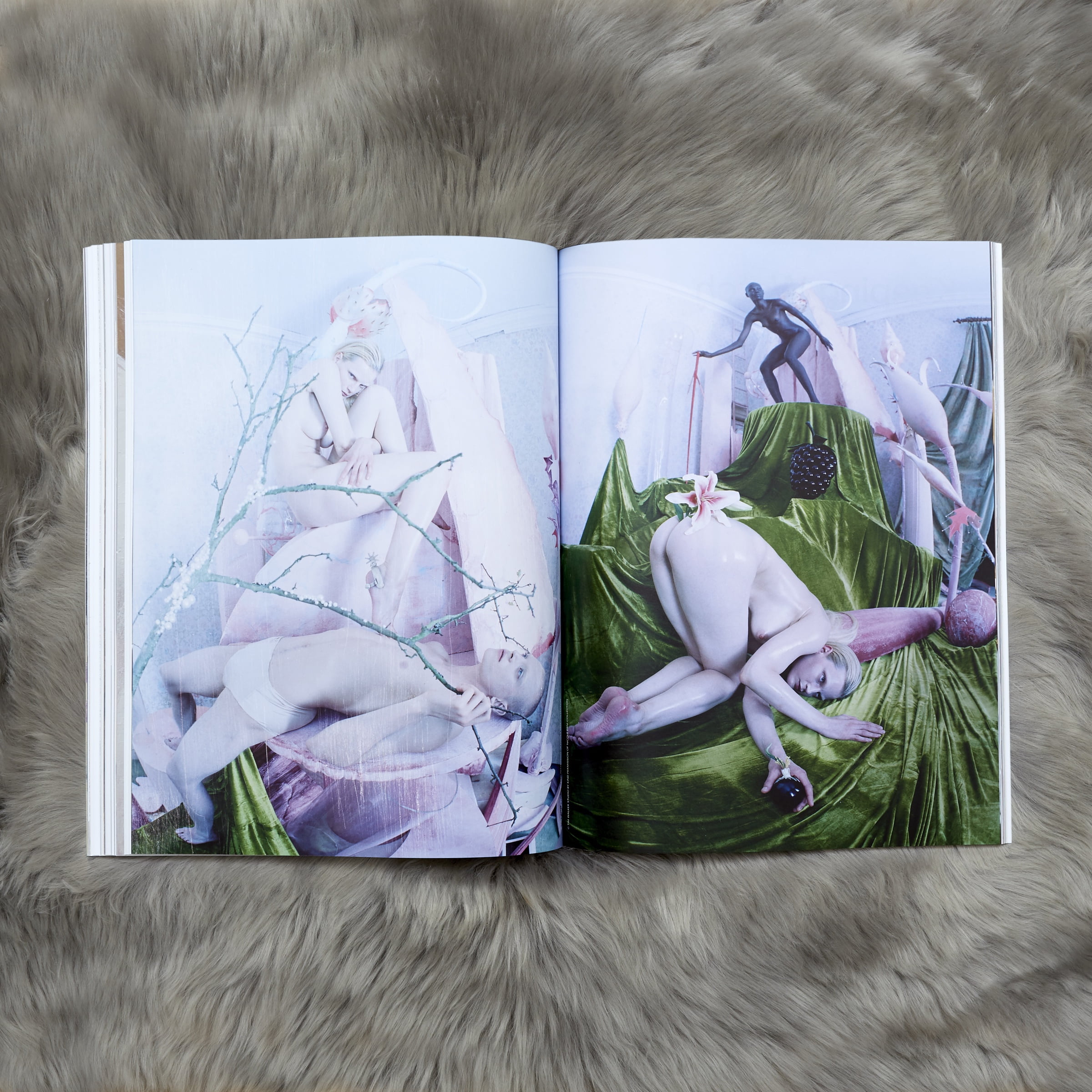 Elephant 41 Elephant 41