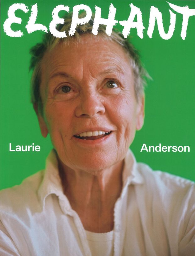 elephant 46 elephant 46