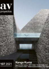 Av Proyectos 107