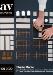 Av Proyectos 109