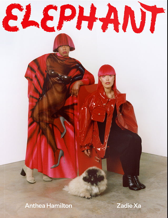 elephant 48 elephant 48